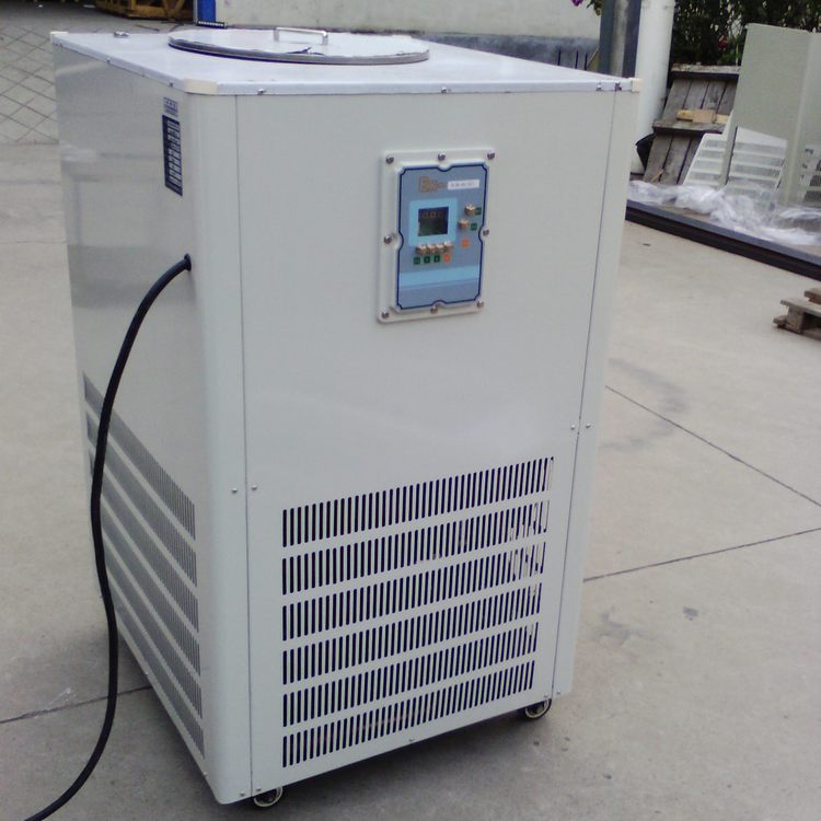 DLSB-5升/-10℃低温冷却液循环泵,低温泵,实验室低温泵